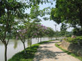 vn 204.jpg (1136x852)